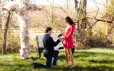 Proposal Survival Guide: The Ultimate Game Plan for Guys Ready to Pop the Question!